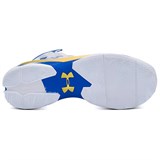 Under Armour Curry 2 Nm Retro Gold Rings 2024 3027361-100