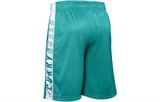 Under Armour Wordmark Basketball Shorts Men Green 1350993-454