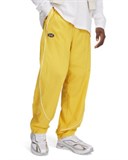 UA TrackPants 1390288-773
