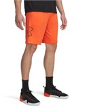 UA Tech™ GraphicShorts 1306443-847