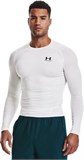 HeatGear®Long Sleeve 1361524-100