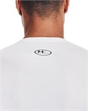 HeatGear®Long Sleeve 1361524-100