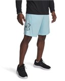 UA Tech™ GraphicShorts 1306443-494