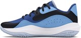 UA Lockdown 7 LowUnisex Basketball Shoes 3027646-401