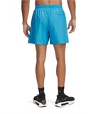 UA IconVolley Shorts 1377191-452
