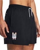 UA Woven PrideVolley Shorts 1383349-001