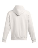 Curry DNAHoodie 1387153-114