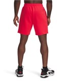 Project Rock Icon FleeceShorts 1389918-989