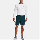 HeatGear®Long Sleeve 1361524-100