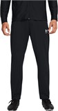 Under Armour Брюки UA M's Ch. Pique Pant 1382602-001-lst