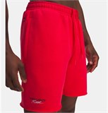 Under Armour Шорты Pjt Rck Icon Flc Short 1389918-989-lst