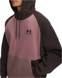 UA Icon Heavyweight ColorblockedHoodie 6009390-246