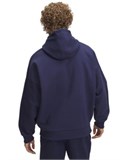 UA Icon Heavyweight ColorblockedHoodie 6009390-403