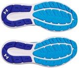 Under Armour Кроссовки UA Charged Rogue 5 3028256-428-lst