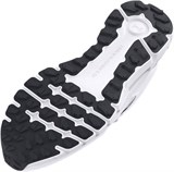UA Summit TrekShoes 3028345-103