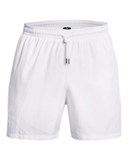UA IconVolley Shorts 1377191-100