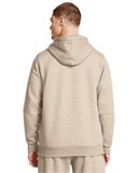 UA Icon FleeceHoodie 1373880-203