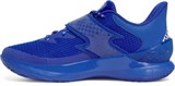 Curry Fox 1 'Lexington'Unisex Basketball Shoes 6001924-400