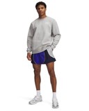UA Icon ColorblockVolley Shorts 1390239-400