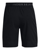 UA Vanish WovenShorts 1370382-001