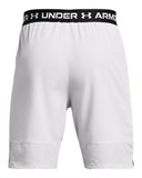 UA Vanish WovenShorts 1370382-014