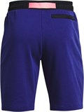 Under Armour Шорты Rival Terry Amp Short 1361628-415-lst
