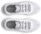 Under Armour Кроссовки UA W Charged Rogue 4 3027005-100-lst