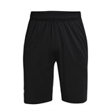 Шорты Raid 2.0 1361511-001-1