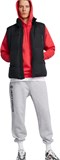 Under Armour Жилет LIMITLESS DOWN VEST 1384642-001-lst