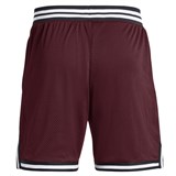 Шорты Curry Mesh 3 1380331-600-1