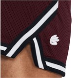 Шорты Curry Mesh 3 1380331-600-1