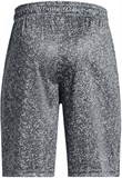 Under Armour Шорты UA Renegade 3.0 Prtd Shorts 1361810-012-lst