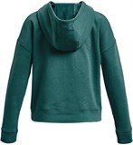 Under Armour Толстовка Pjt Rck Brhma Bull Fleece Hd 1379027-722-lst