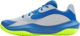 Under Armour Кроссовки Ua Lockdown 7 Low 3027646-453-lst