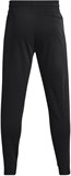 Under Armour Брюки Rival Flc Wm Jogger 1373374-001-lst