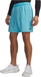 Under Armour Шорты UA Tech Play Short 6009832-481-lst