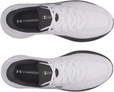 Under Armour Кроссовки UA Chase 6014417-100-lst
